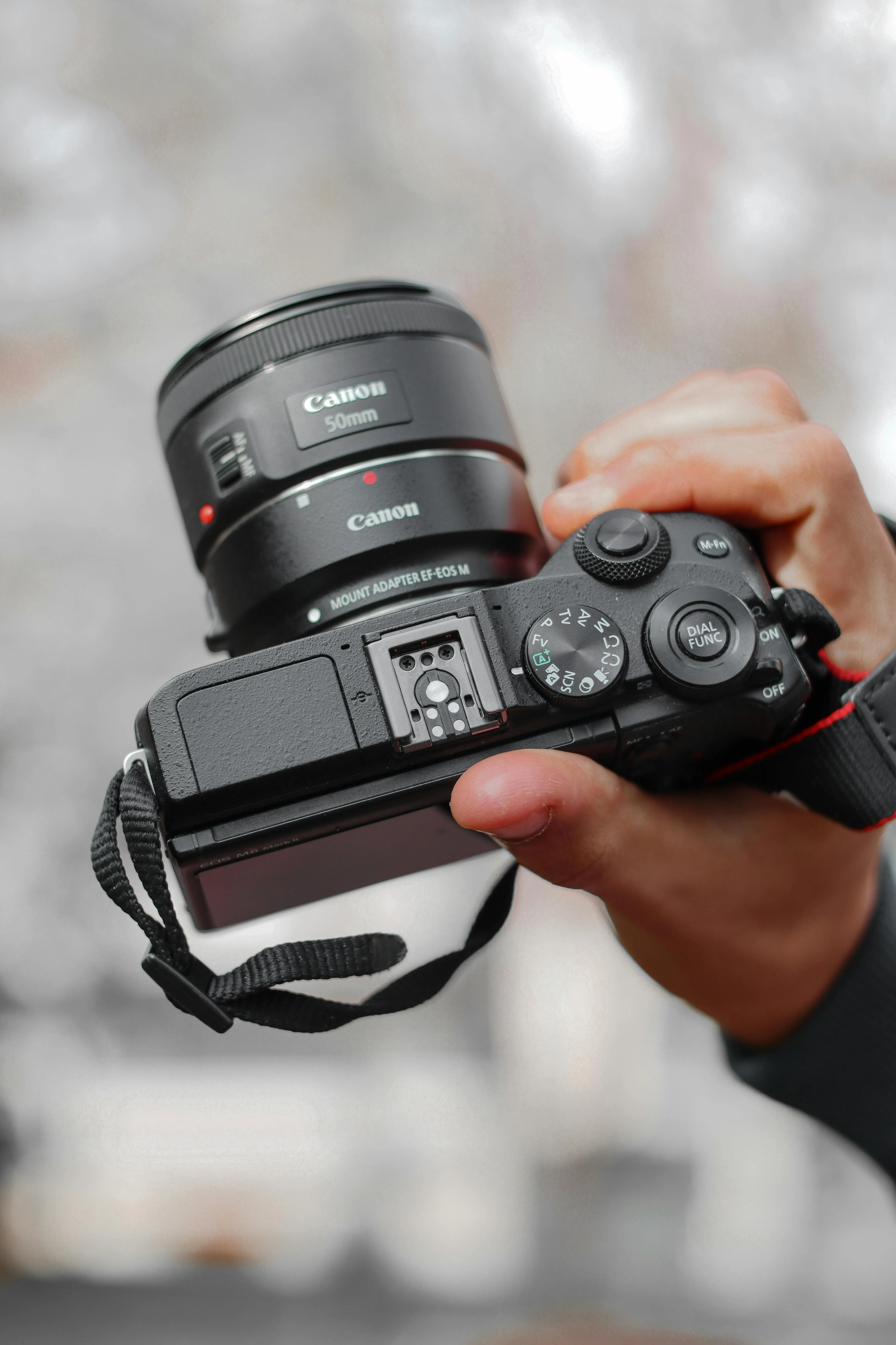 Durch meine Linse: Der Beginn meiner Fotoreise